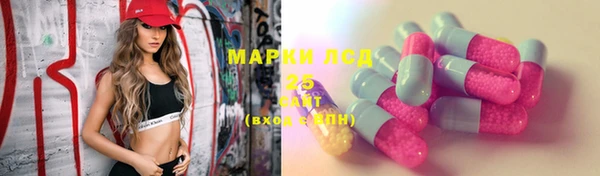 ПСИЛОЦИБИНОВЫЕ ГРИБЫ Богородицк