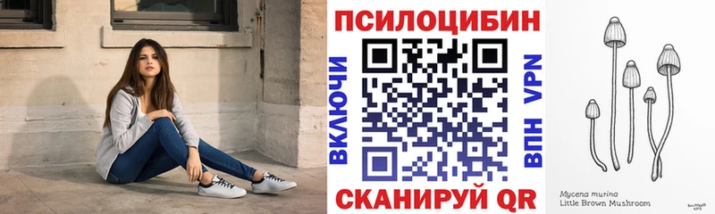 Псилоцибиновые грибы мухоморы  Купить где  Лыткарино 